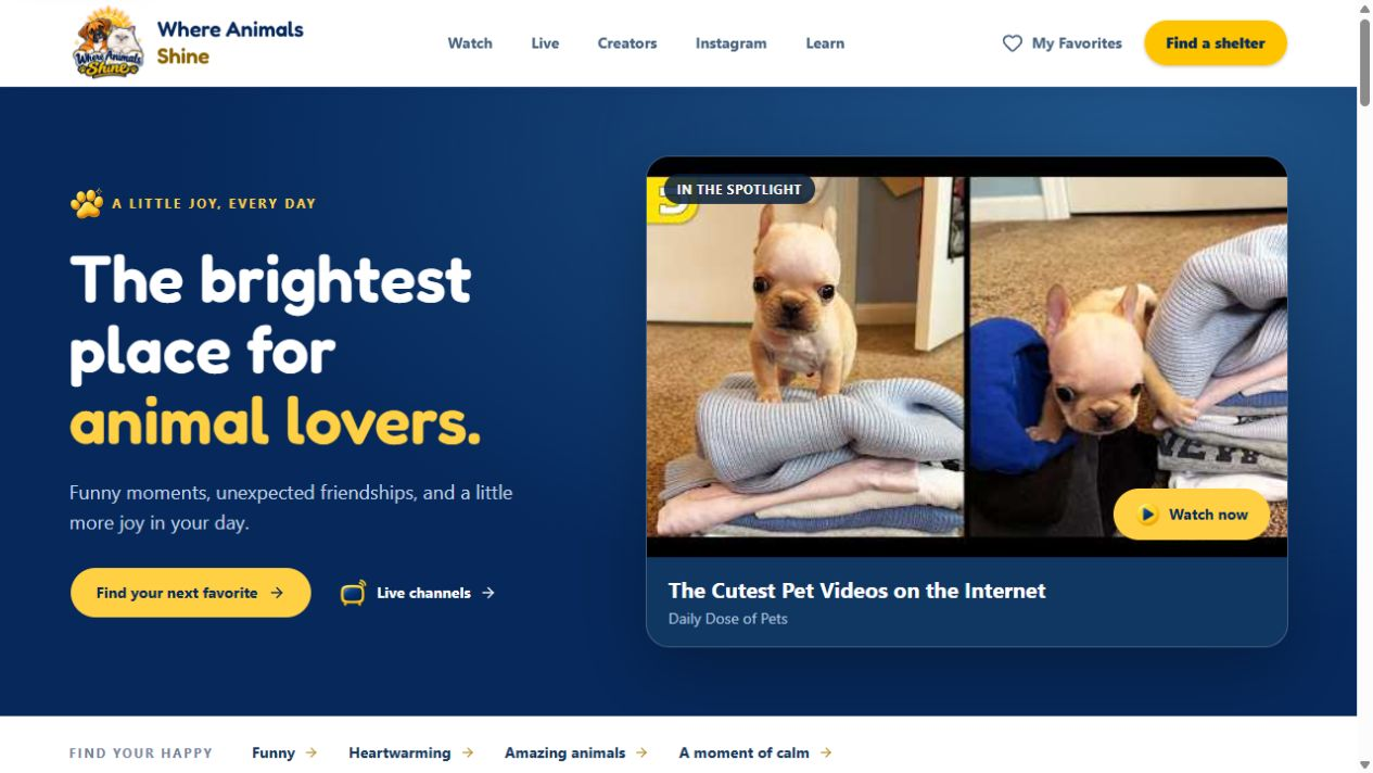 Where Animals Shine homepage with animal videos and a blue and yellow design